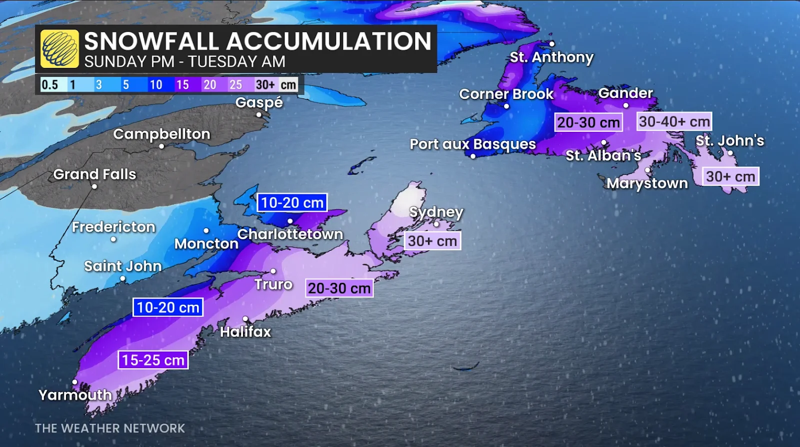 Newfoundland, Atlantic Canada, Snowfall, Snow, Storm, Blizzard, Nor'easter, January 31, 2026. (The Weather Network)