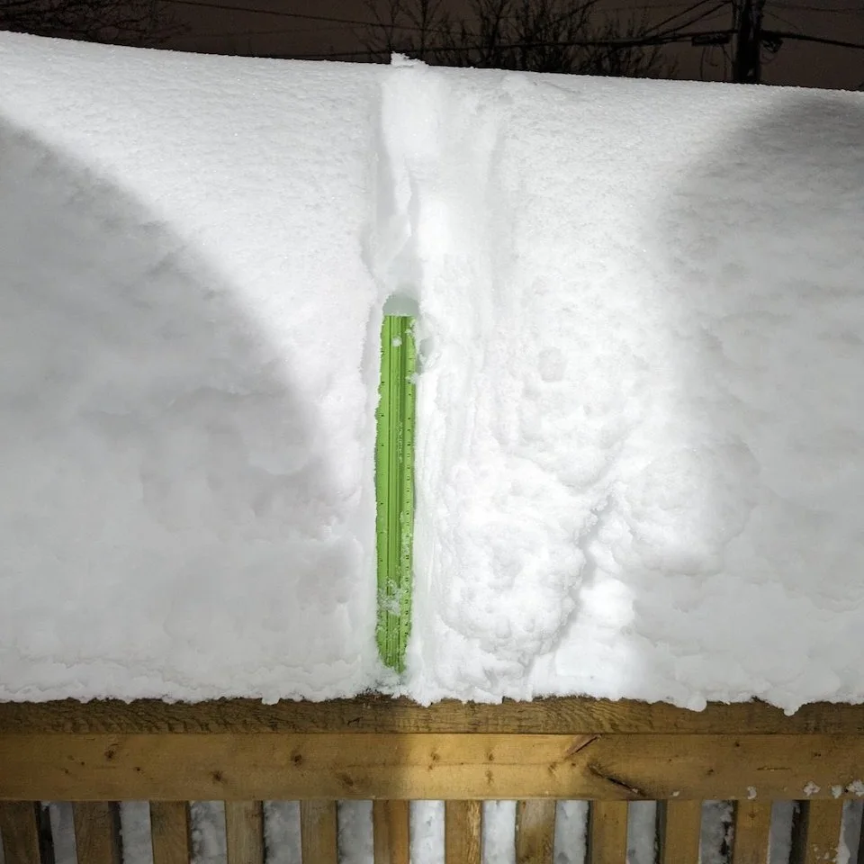 PHOTOS: St. John's, other N.L. communities buried after winter wallop