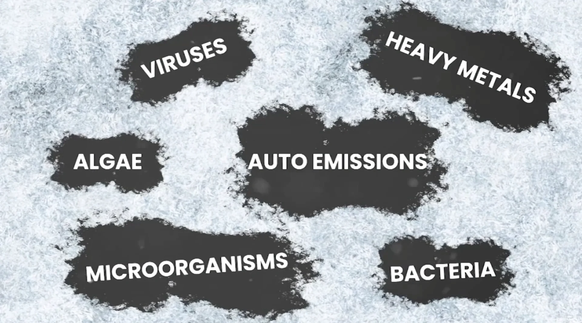 TWN: Snow mould graphic, toxins, pollutants 