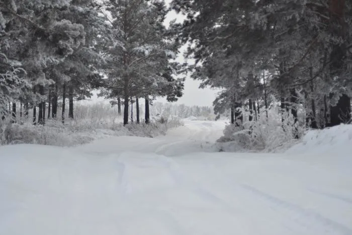 Les bancs de neige du Québec de moins en moins imposants