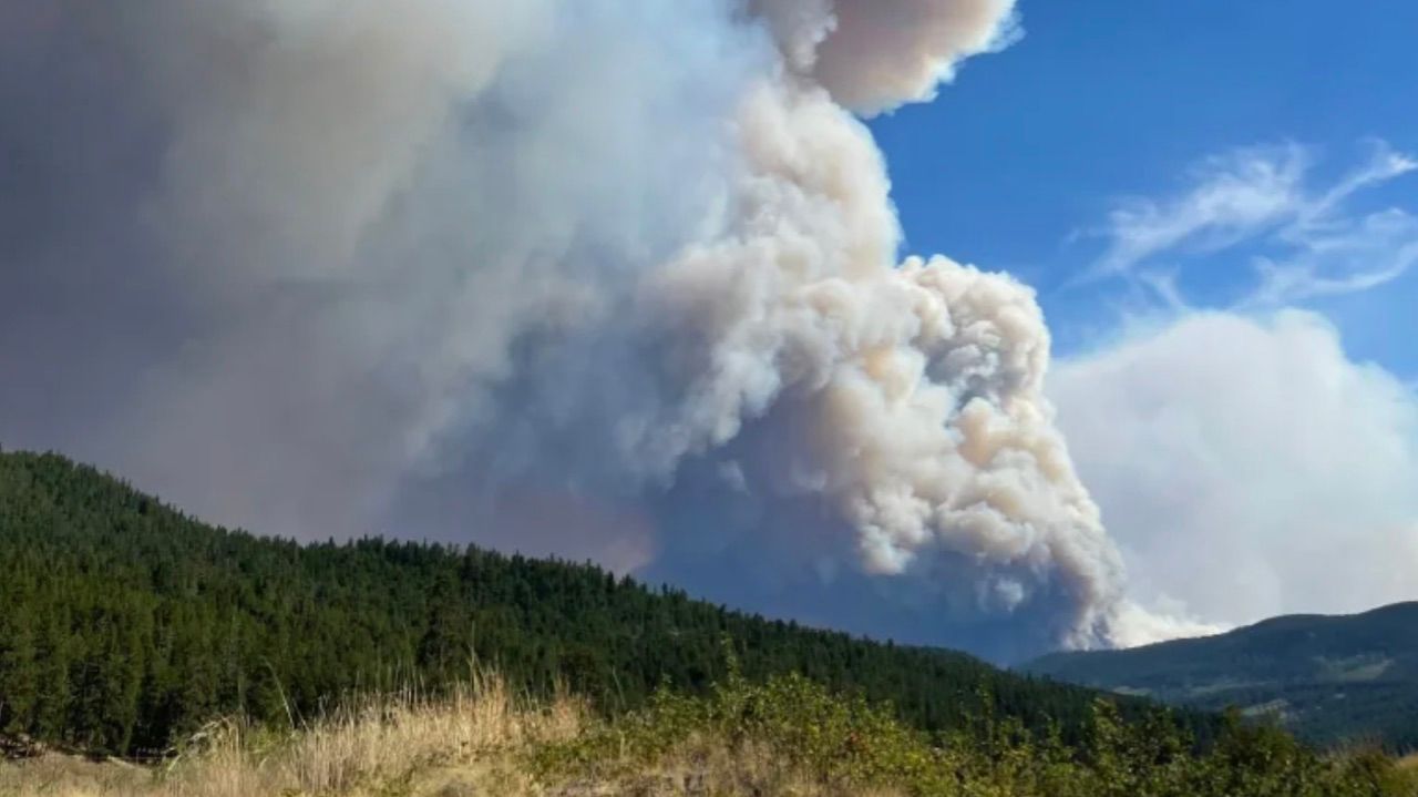 Most of Vernon, B.C., on evacuation alert due to White Rock Lake wildfire - The Weather Network