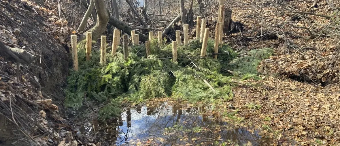 CBC: beaver-dam-analogue-in-nicola-river-tributary-howard-creek-in-2023 (Submitted by B.C. Wildlife Federation)