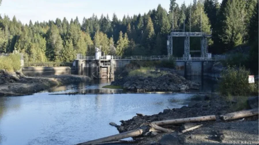 B.C. Hydro looks to protect fish as some reservoirs hit record-low levels