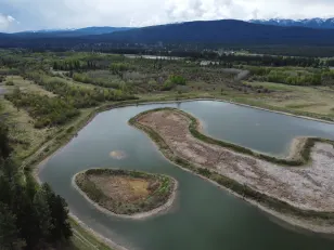 B.C. group races to save key habitat for grizzly bears and waterfowl