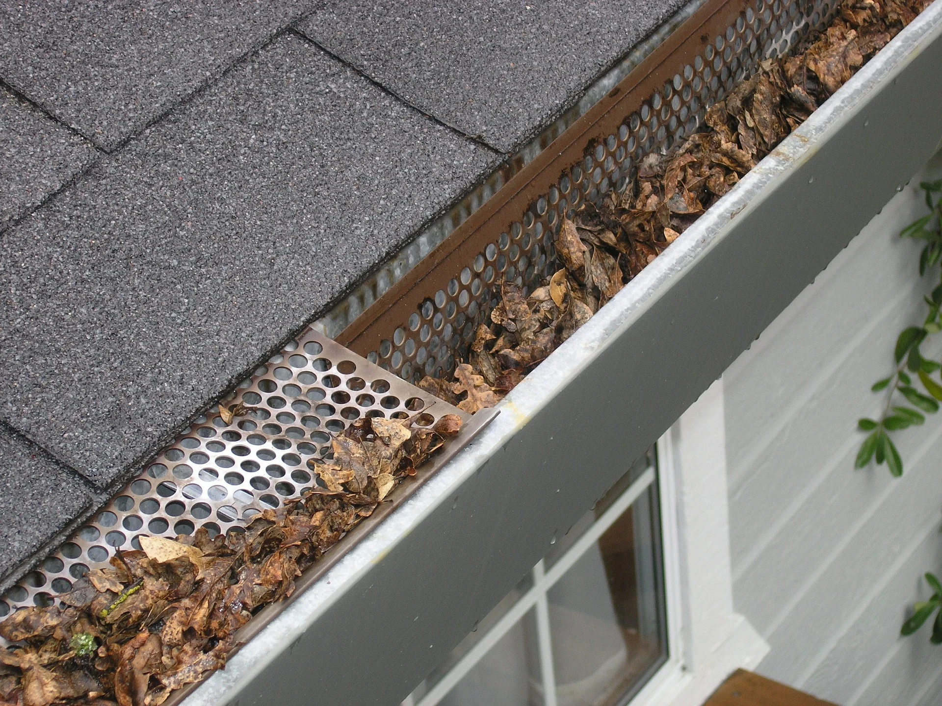 gutter-guard-ipswich-2434467 1920