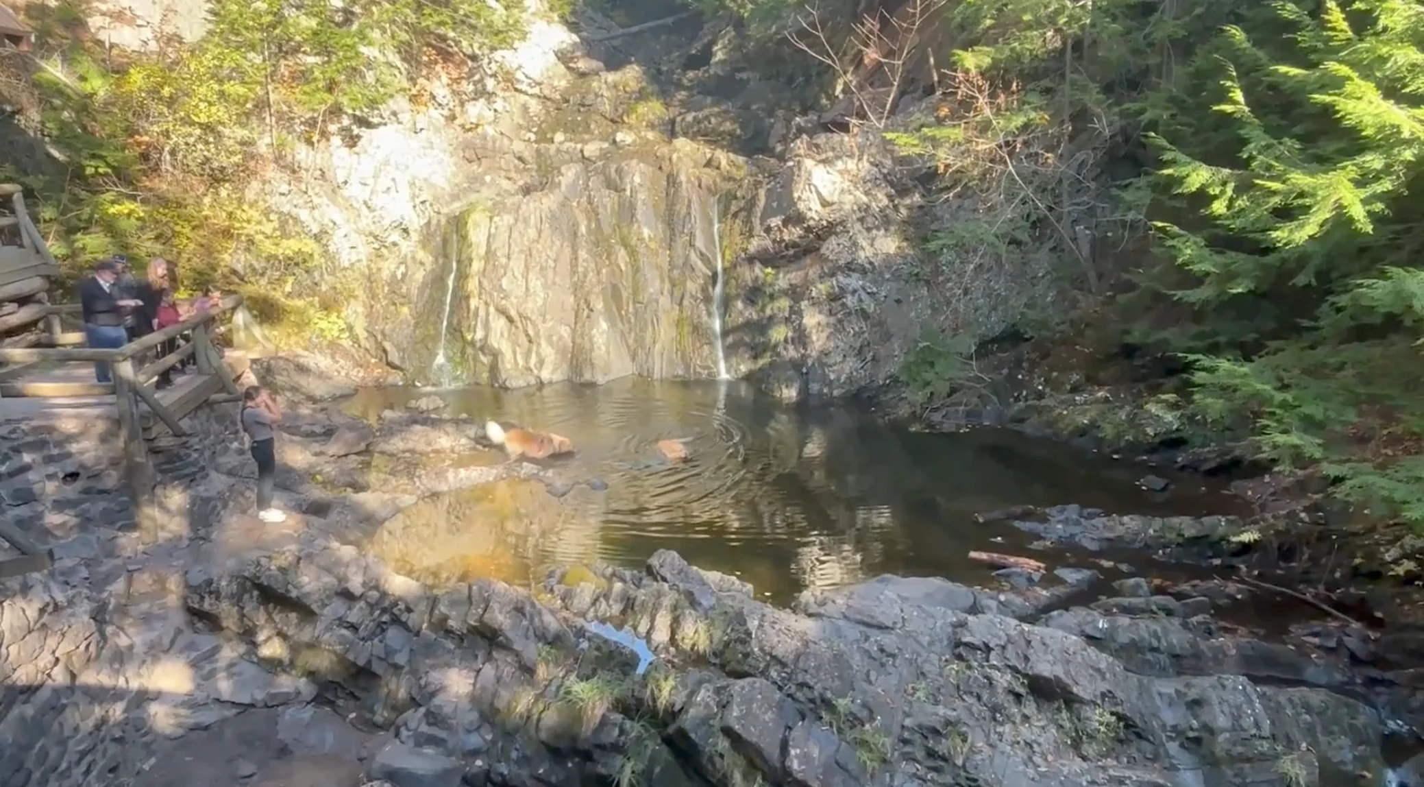 Nathan Coleman: Nova Scotia hiking trail