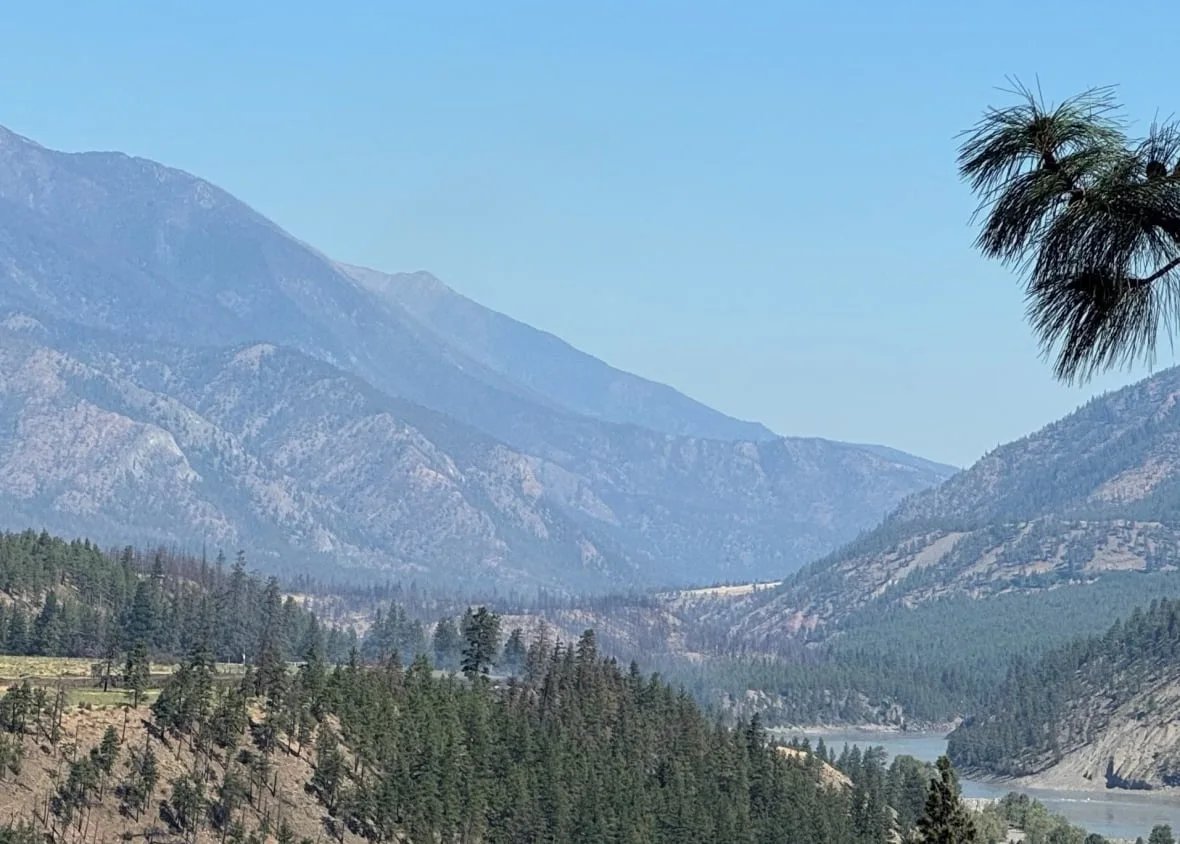The Nikaia Creek Wildfire, discovered on Monday, is currently being held by firefighters, which means it's not expected to grow beyond current perimeters. (B.C. Wildfire Service)