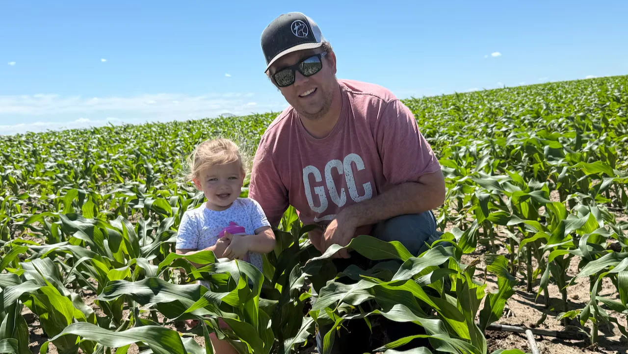 Diesel, Farmer, Harvest, Alberta, October 30, 2026. (Kody Traxel/CBC)