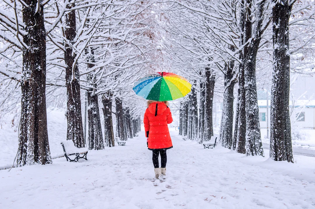 Kirkland Lake's weather forecast for October 14 Cloudy and windy today