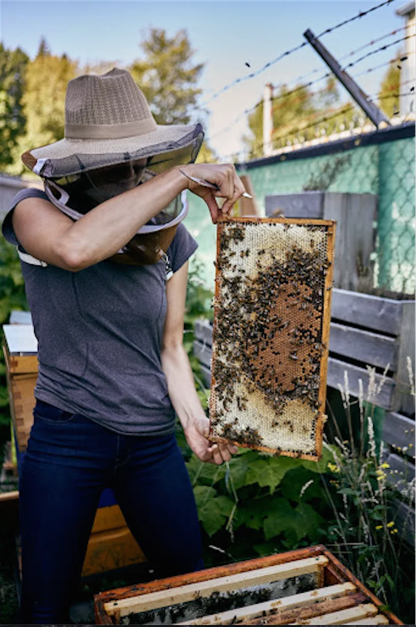The idea to use honey came from a concern David Brimacombe had for environment and his concern for our food system.
