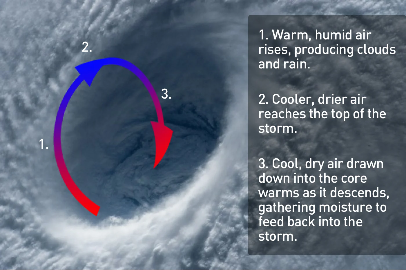 typhoon-core-annotated