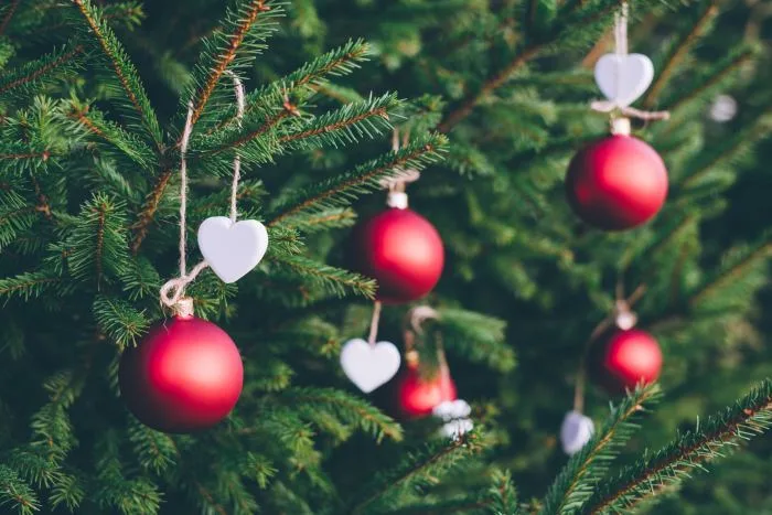 Trois trucs pour garder votre sapin naturel en vie