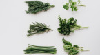 The powerful health benefits of herbs and how to grow them