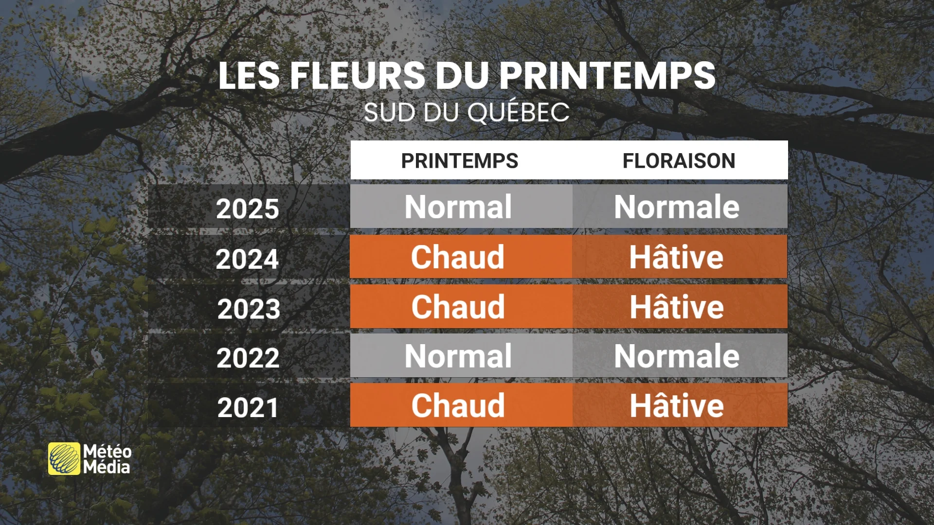 FEUILLES2
