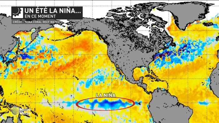 anomalie sst