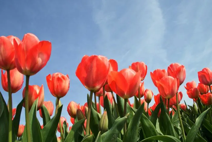 Quand l'équinoxe ne fait pas le printemps