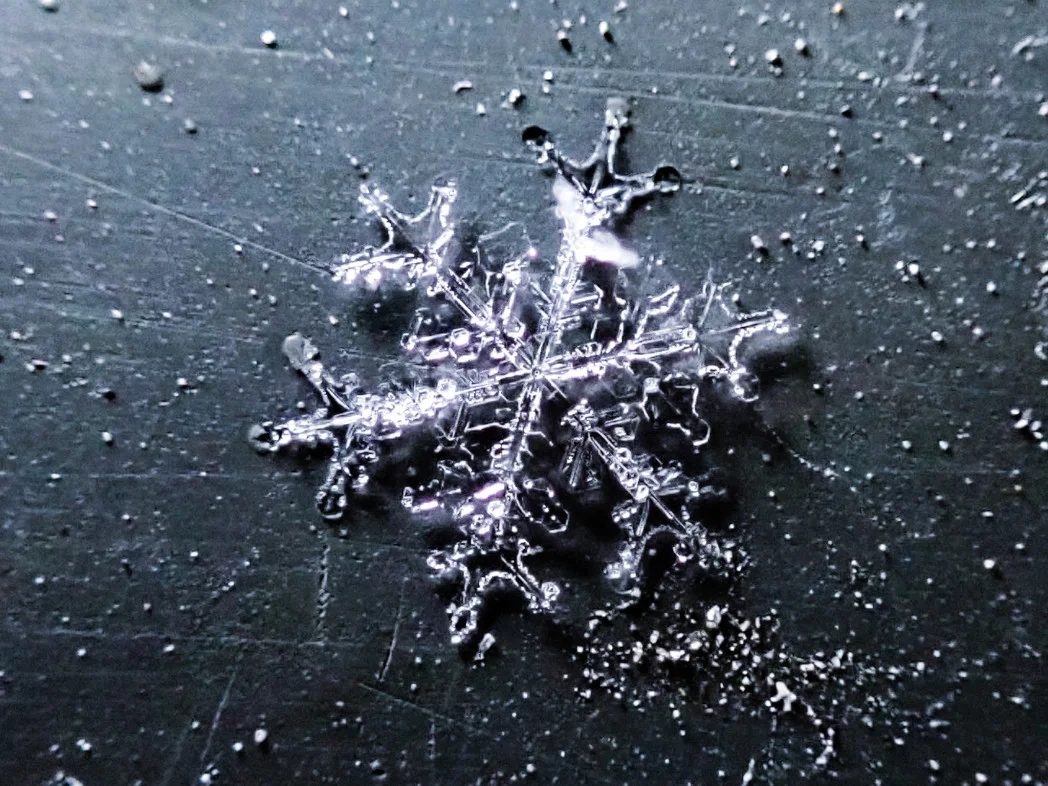 Macro photography reveals remarkable complexities of snowflake structures
