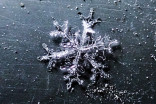Macro photography reveals remarkable complexities of snowflake structures