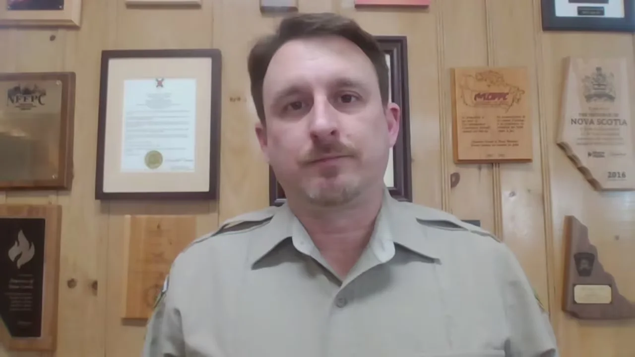 Scott Tingley is the manager of forest protection with Nova Scotia's Department of Natural Resources (CBC)