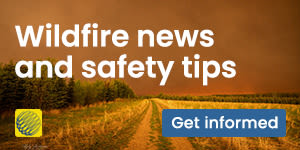 Get the latest news on wildfire in Canada, by the Weather Network.