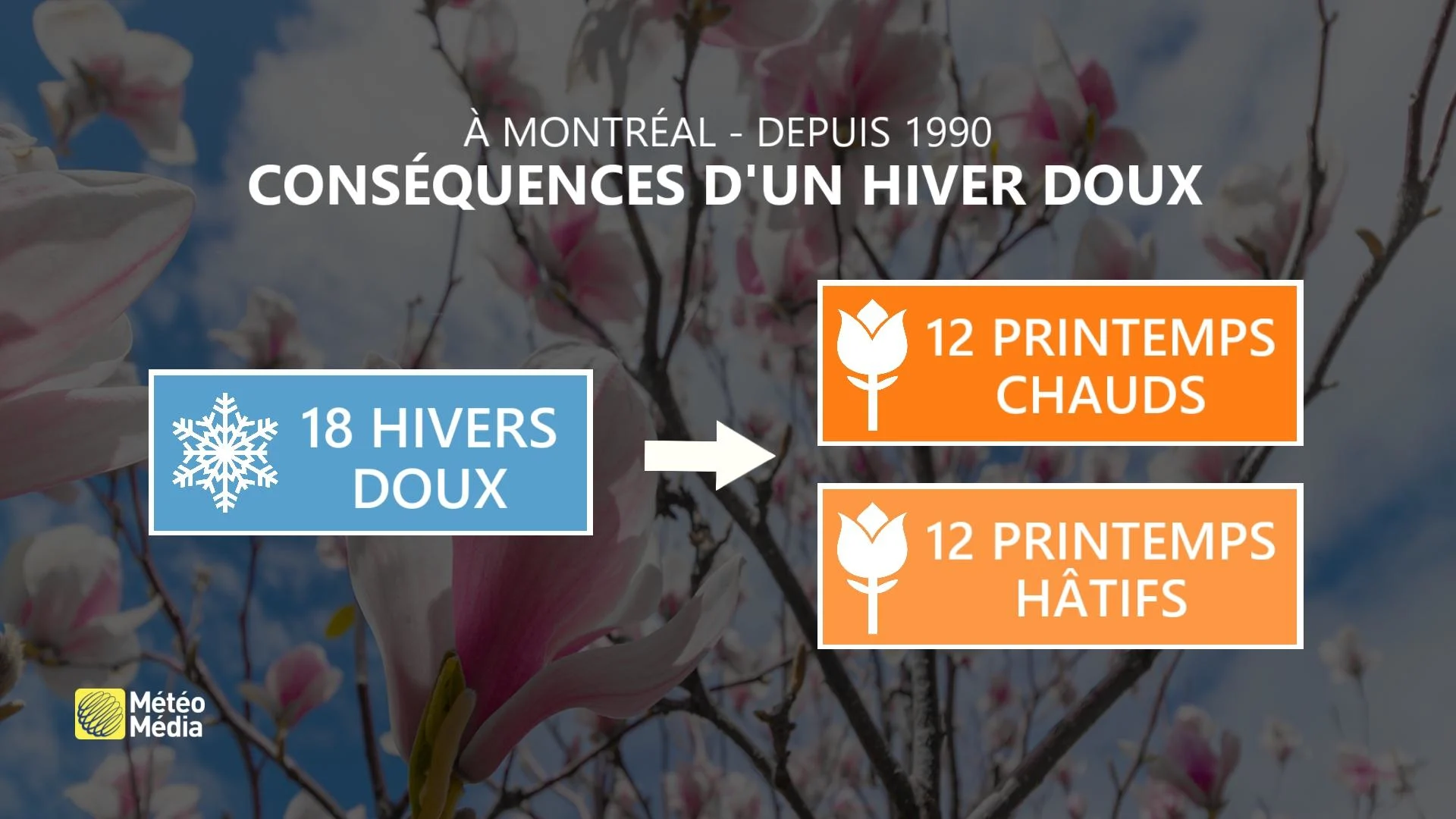 HIVER ETRANGE1