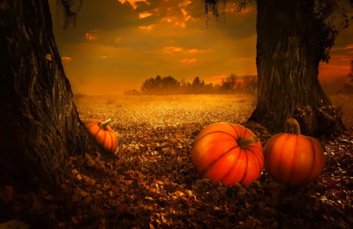 October 31 - The Haunting History of Halloween