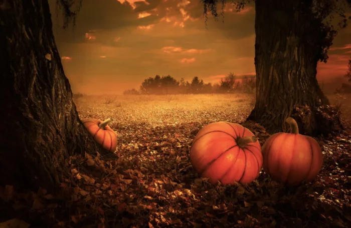 October 31 - The Haunting History of Halloween