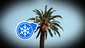 Forte poussée de froid : de la neige jusqu’en Floride. Détails ici. 