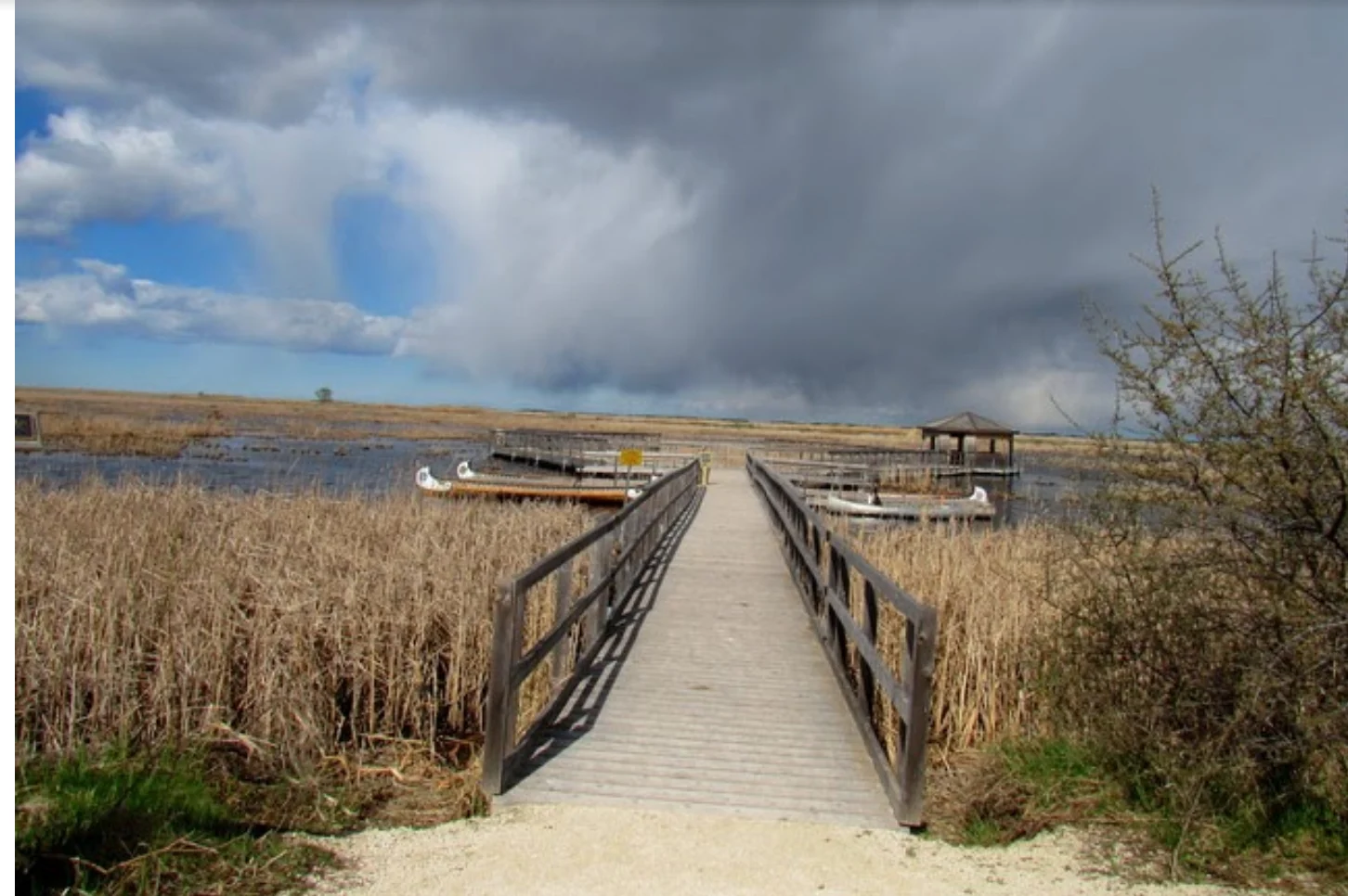 Photo Credit: TWN Viewer I Cieszynski, Oak Hammock Marsh 