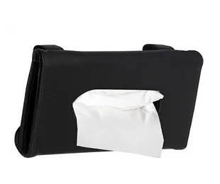 Amazon, Tissue holder for car, CANVA, spring cleaning your car 2023