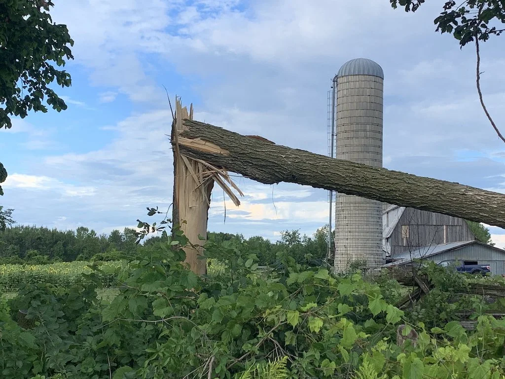 PHOTOS: Possible tornadoes, funnel clouds as intense storms slam Ontario