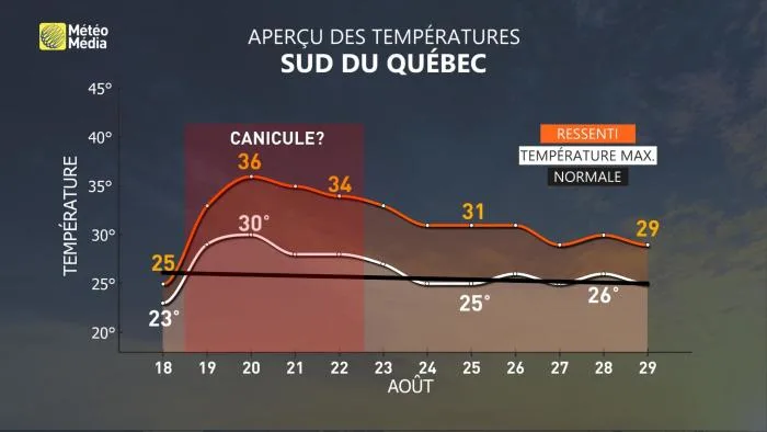 VMET11 METEOGRAMME (5)