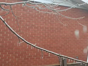 Ontario faces a difficult travel day with heavy snow, ice, and rain. Delays and outages expected