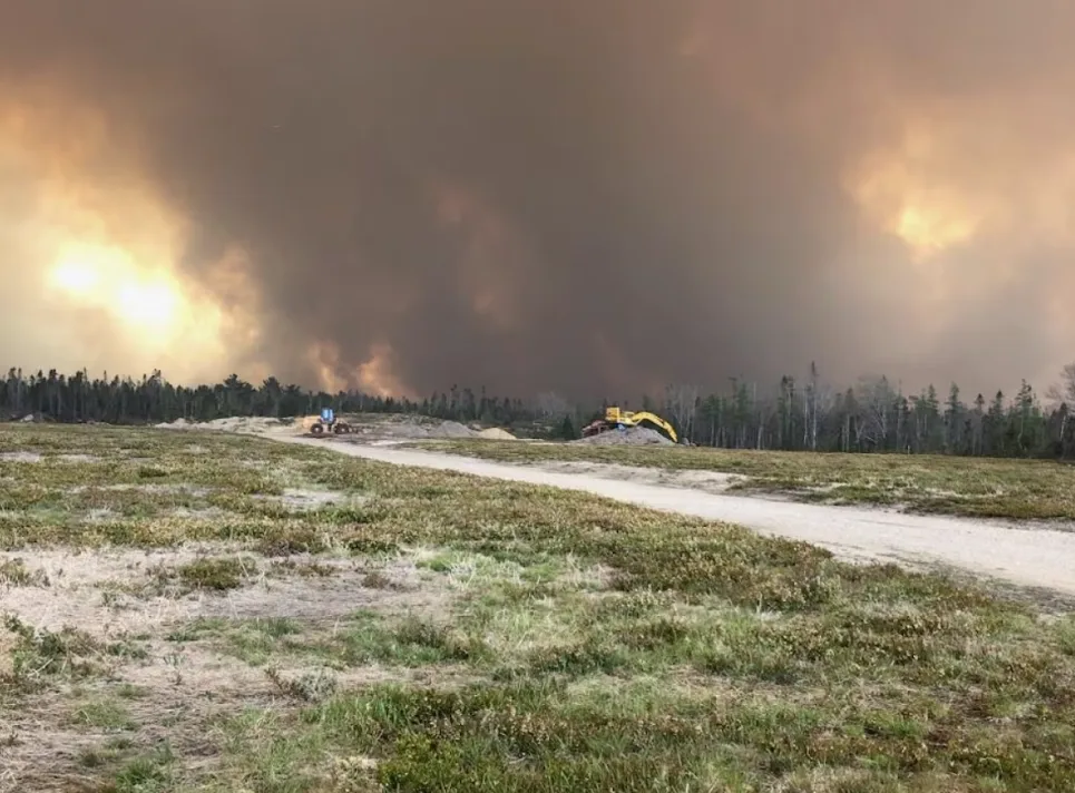 CBC: Sutherland took this photo moments before he was forced to leave his blueberry field in Barrington, N.S., on May 28. (Submitted by Peter Sutherland)
