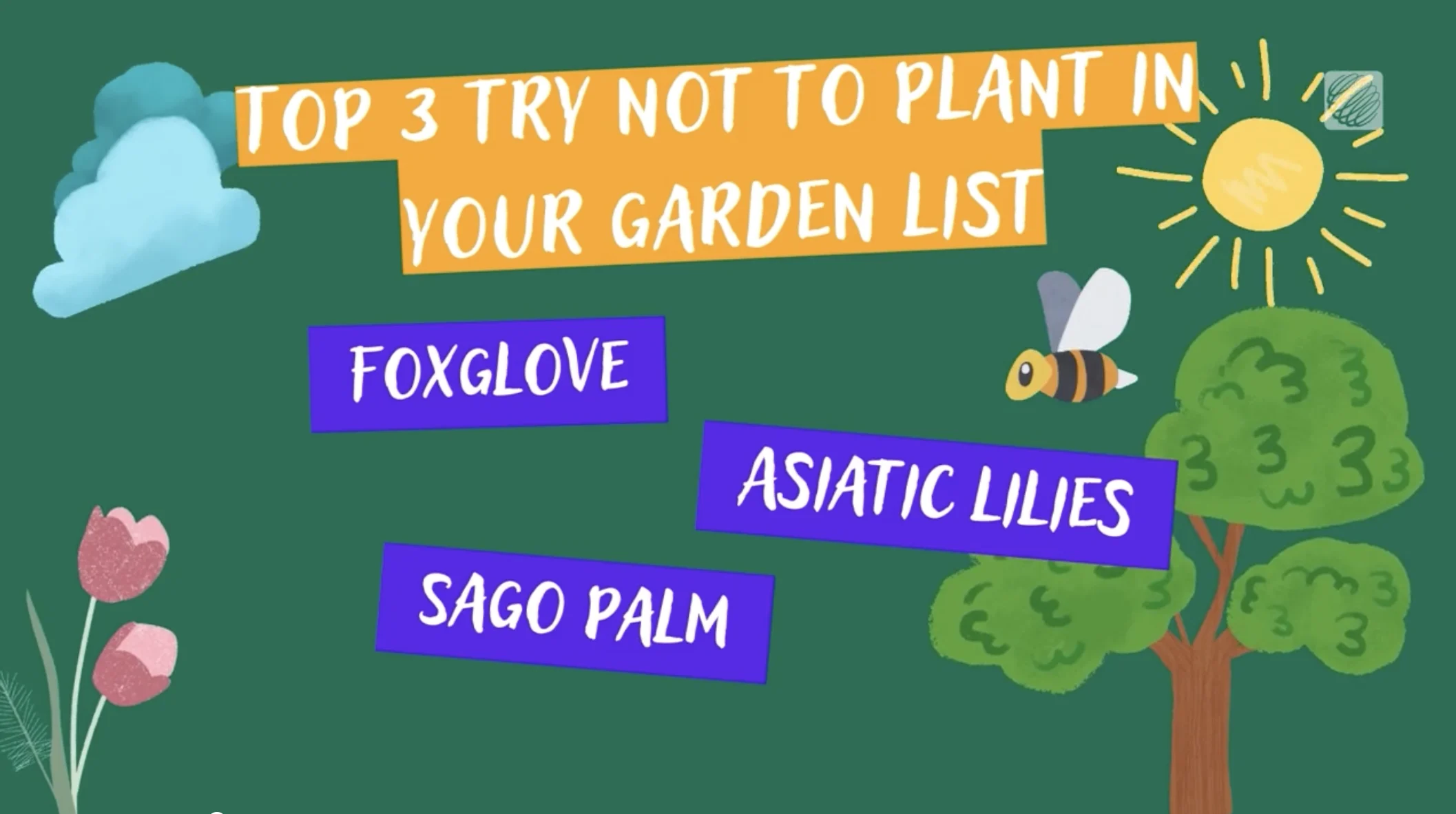 Graphic (TWN): Toxic plants to pets