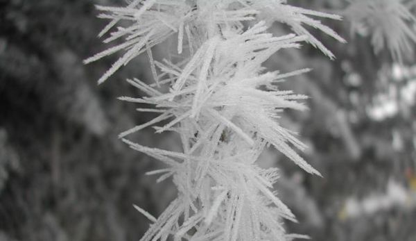 Persistent fog leads to pesky—yet beautiful—rime ice on the Prairies ...
