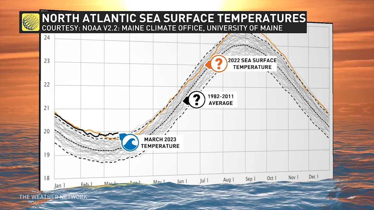 Temperatures In 2023 Could Be Record Breaking With Rapidly Developing 