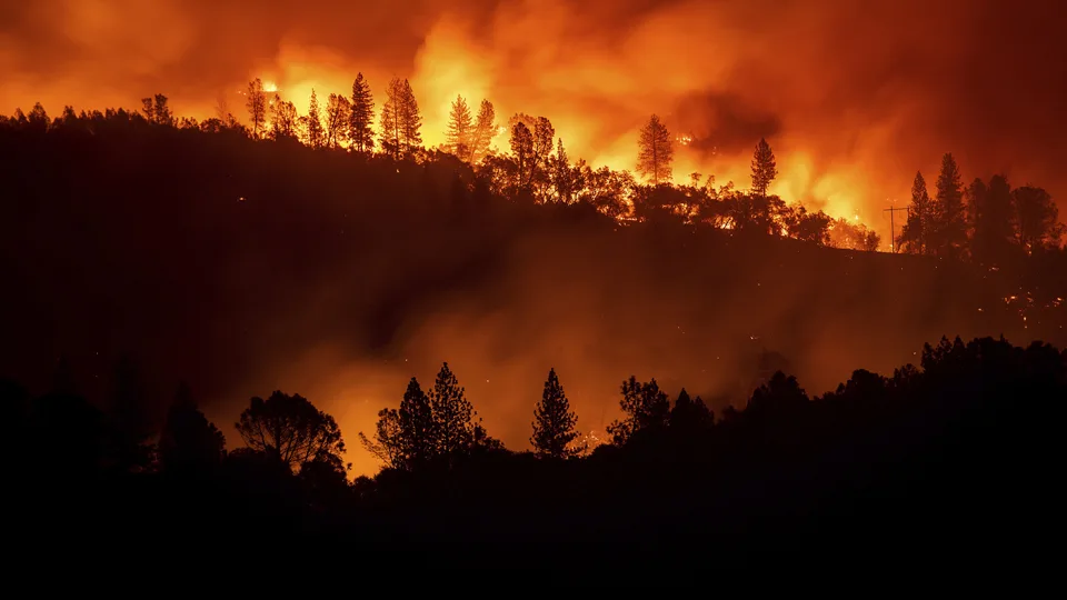 Baisse record du nombre de feux de forêt au Québec