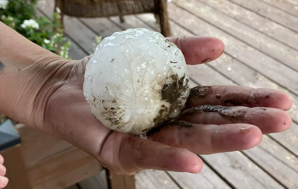 Hear how this trio survived a barrage of grapefruit-size hail