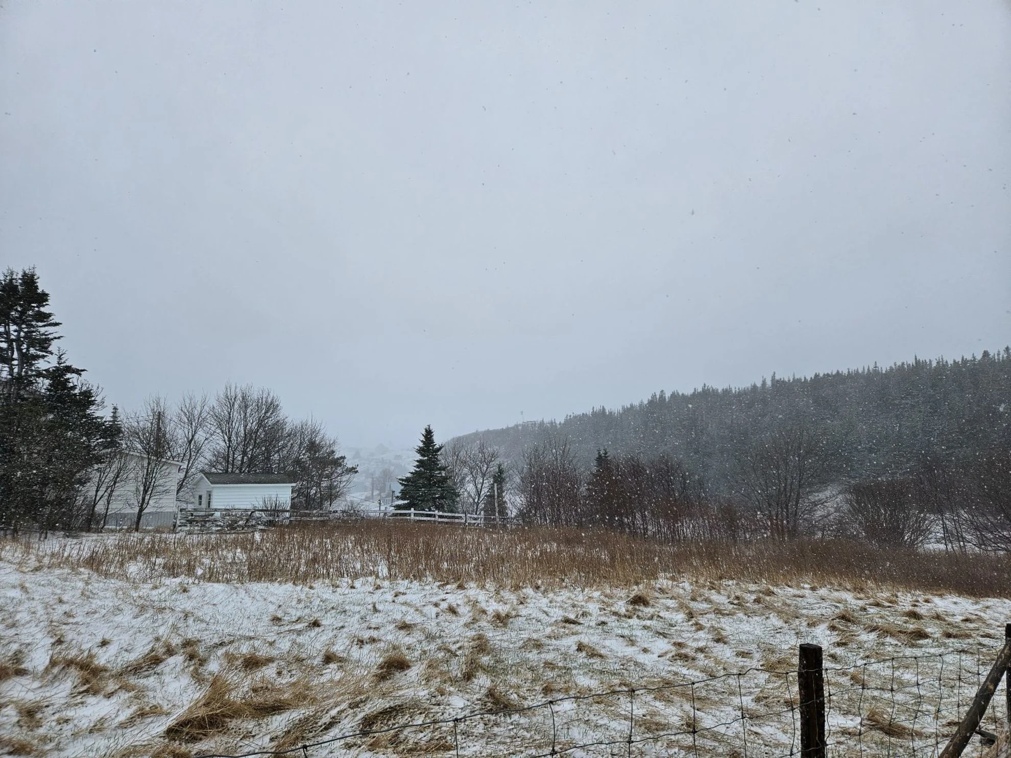 Brief, but intense winter weather wallops Newfoundland Thursday