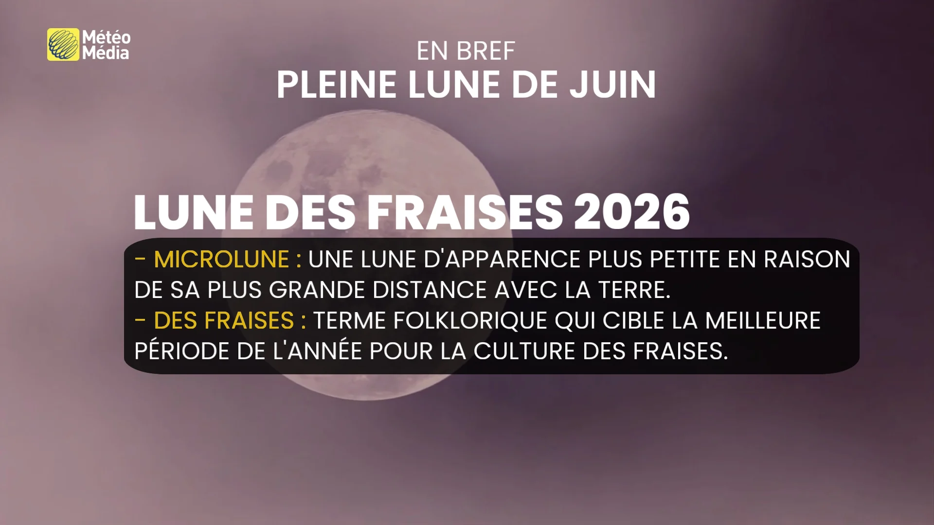 Regardez vers le ciel : la microlune des fraises, c'est lundi