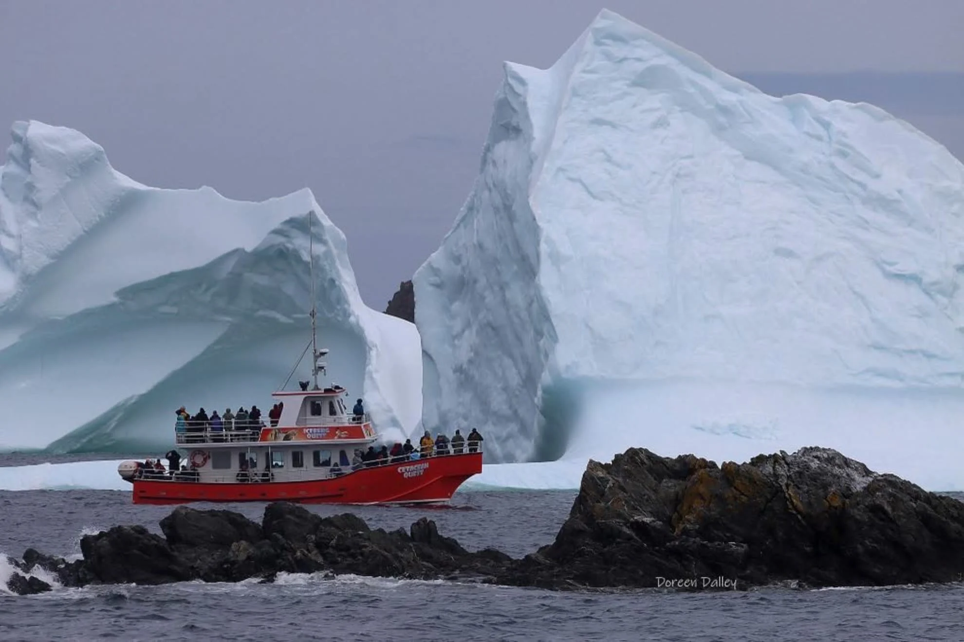 Nathan Coleman - Iceberg Quest Ocean Tours2
