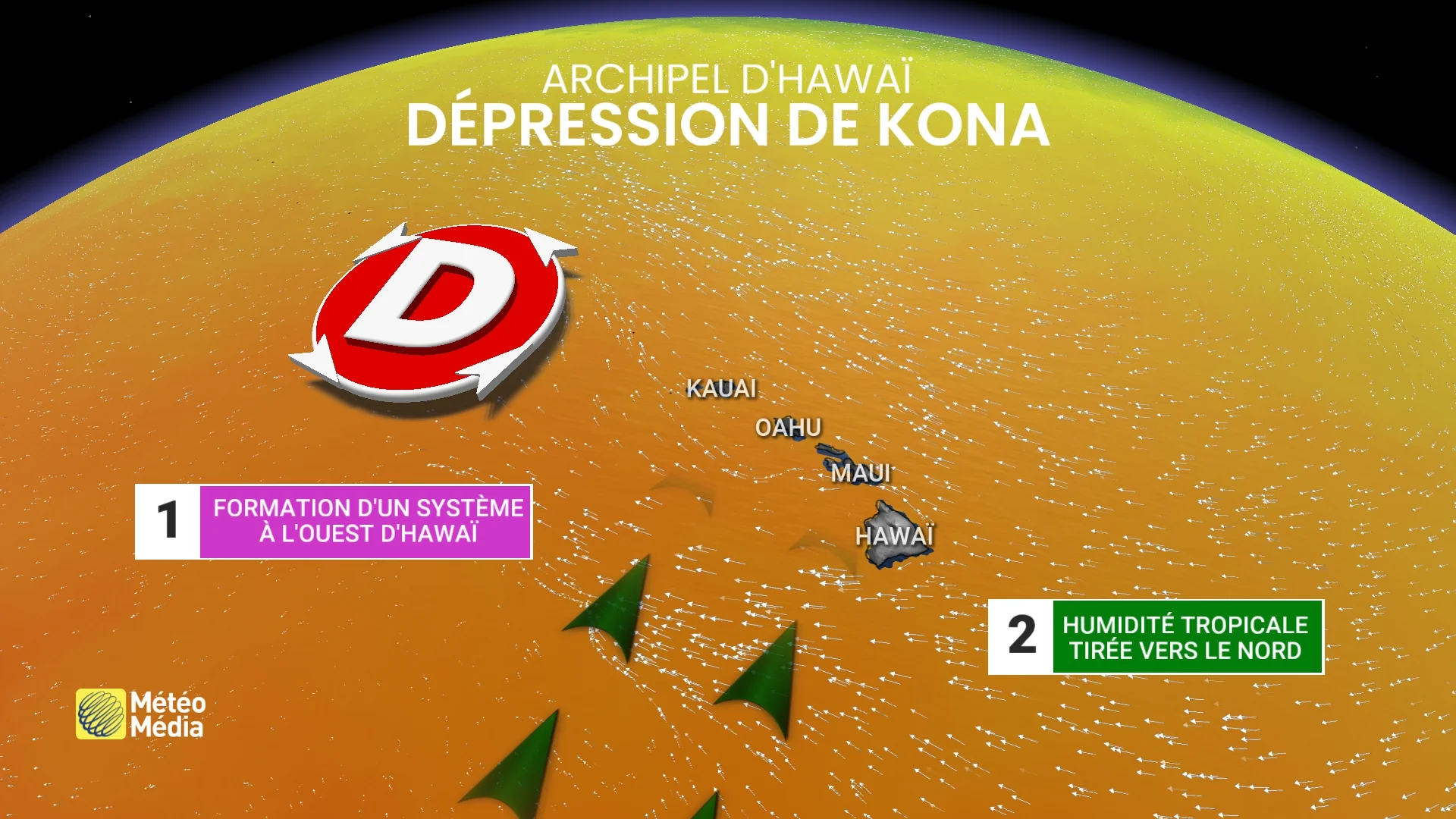 HAWAI 1