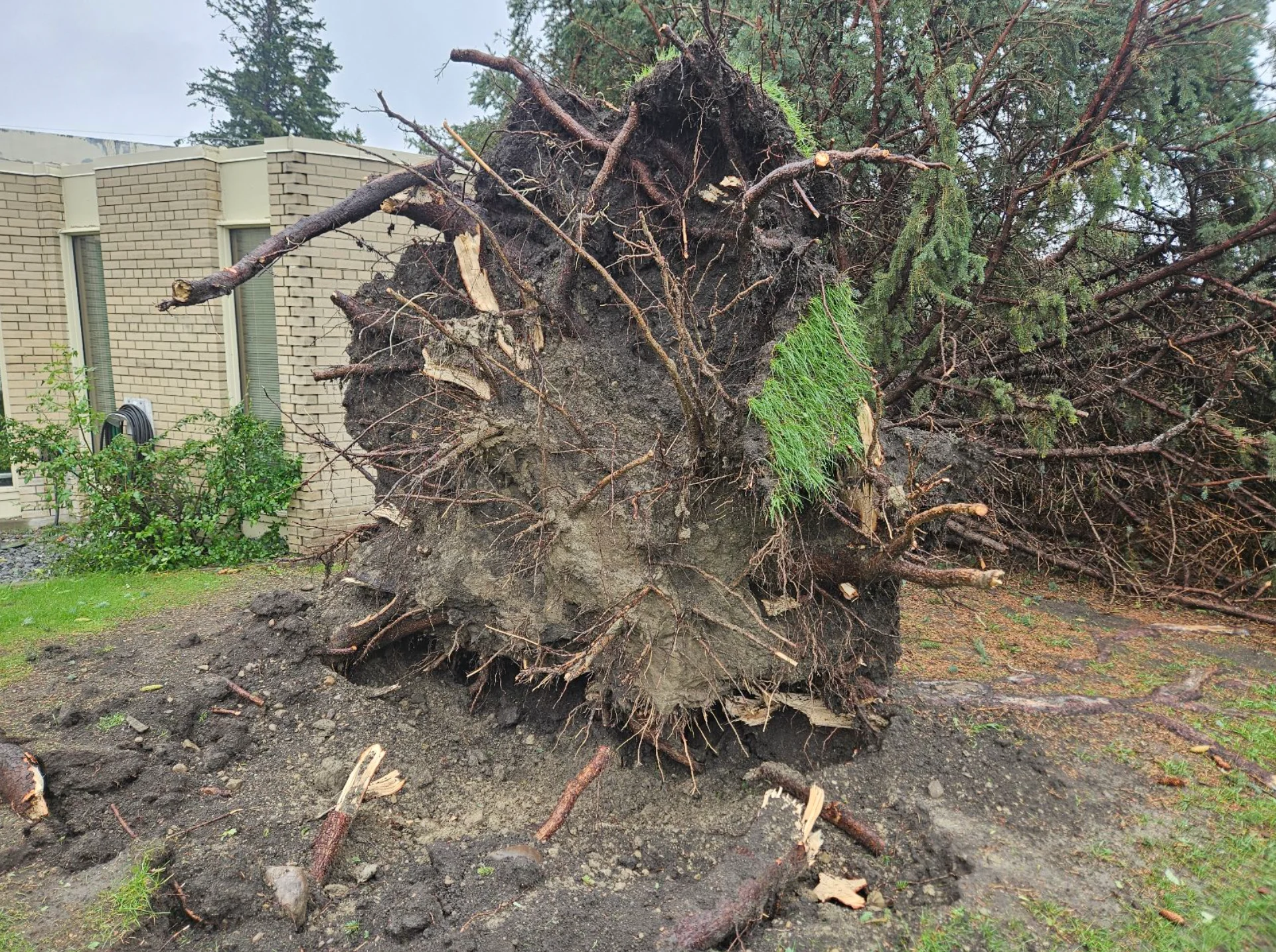 Connor O'Donovan: Damage from thunderstorm in Thorncliffe, residential neighbourhood in northwest Calgary, Alberta. (Date Shot: July 14, 2025. Storm occurred July 13) - 5