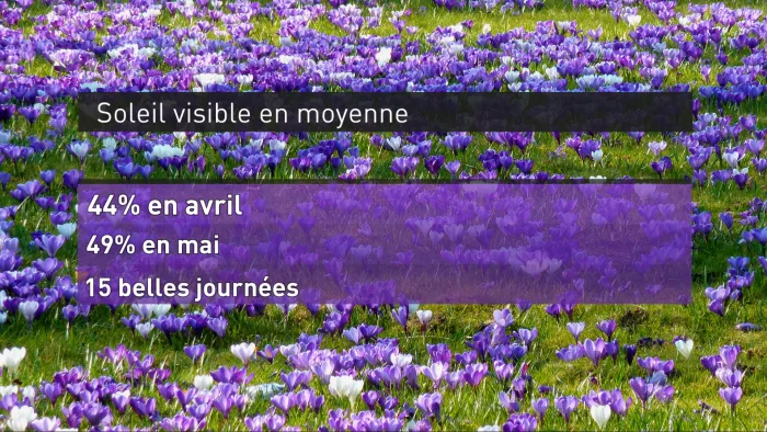 Annotation 2020-04-09 145242