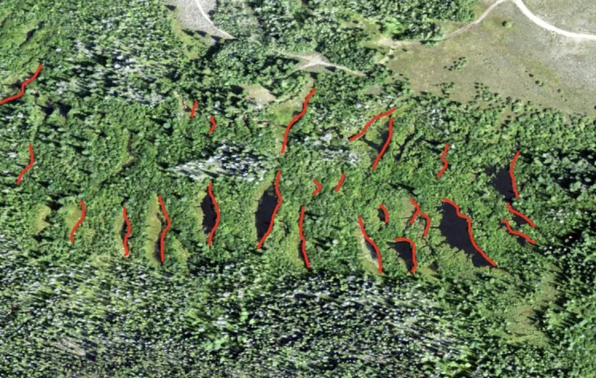 aerial-map-of-beaver-pond-complexes/Submitted by study researchers/Nature via CBC