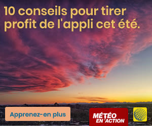 10 conseils pour tirer profit de l'appli cet été.
