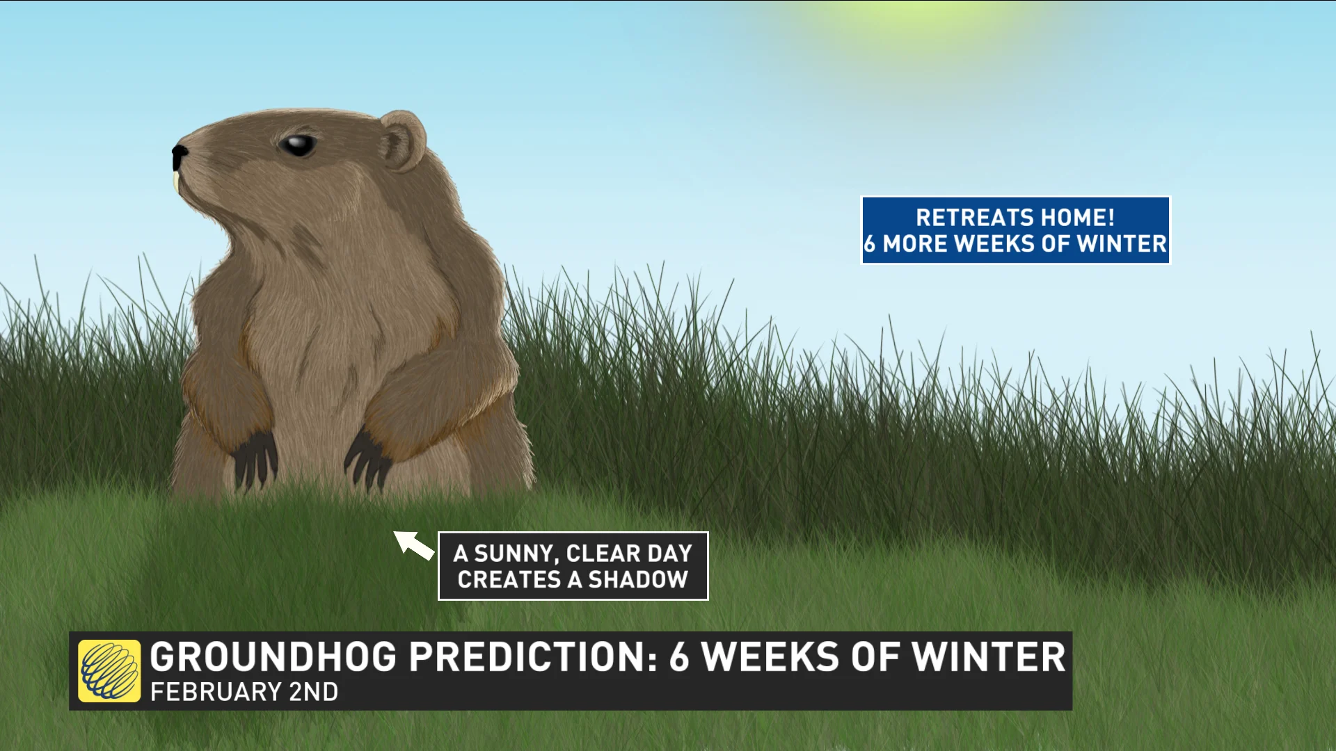 Explainer: Groundhog Day Six (6) More Weeks of Winter (The Weather Network)