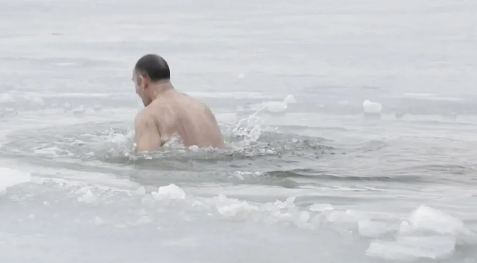 Polar plunge: How an icy dip could unlock health benefits