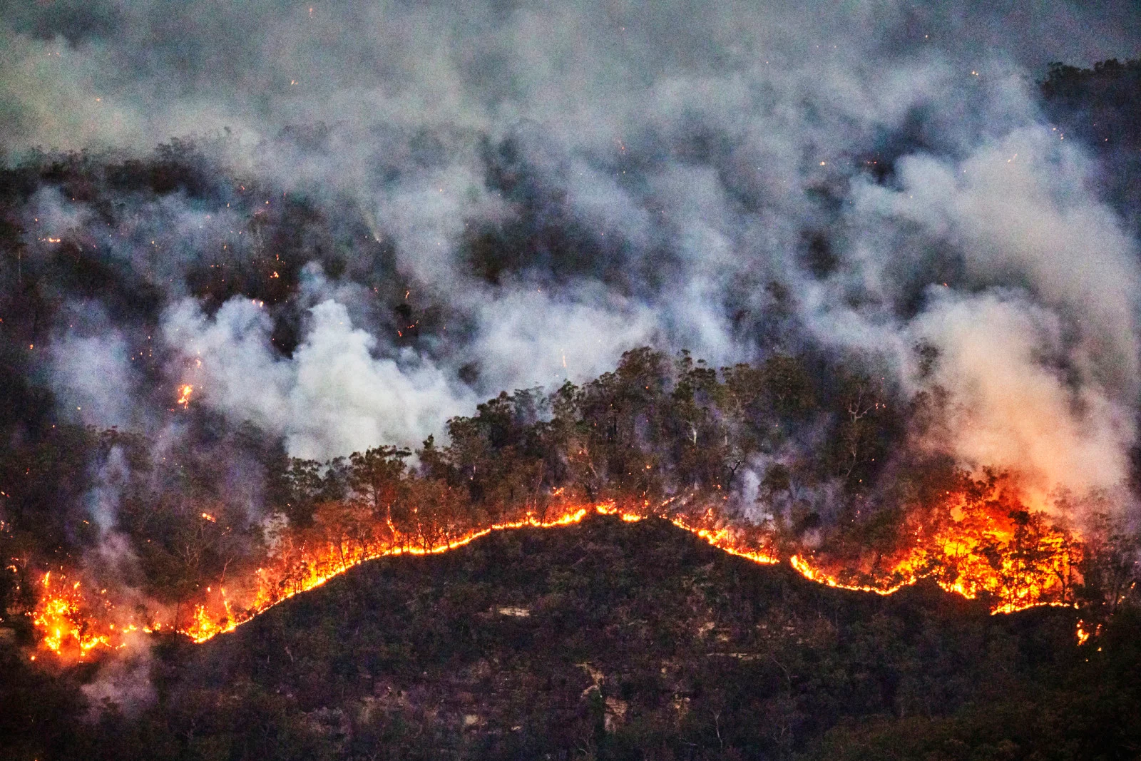 Millions will endure a "climate penalty" as global air quality drops, WMO says